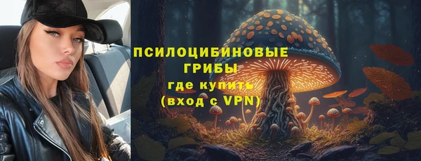 первитин Алексеевка