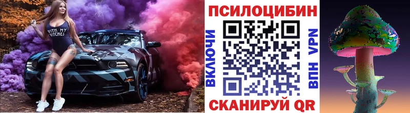Псилоцибиновые грибы Psilocybine cubensis  Нарьян-Мар 
