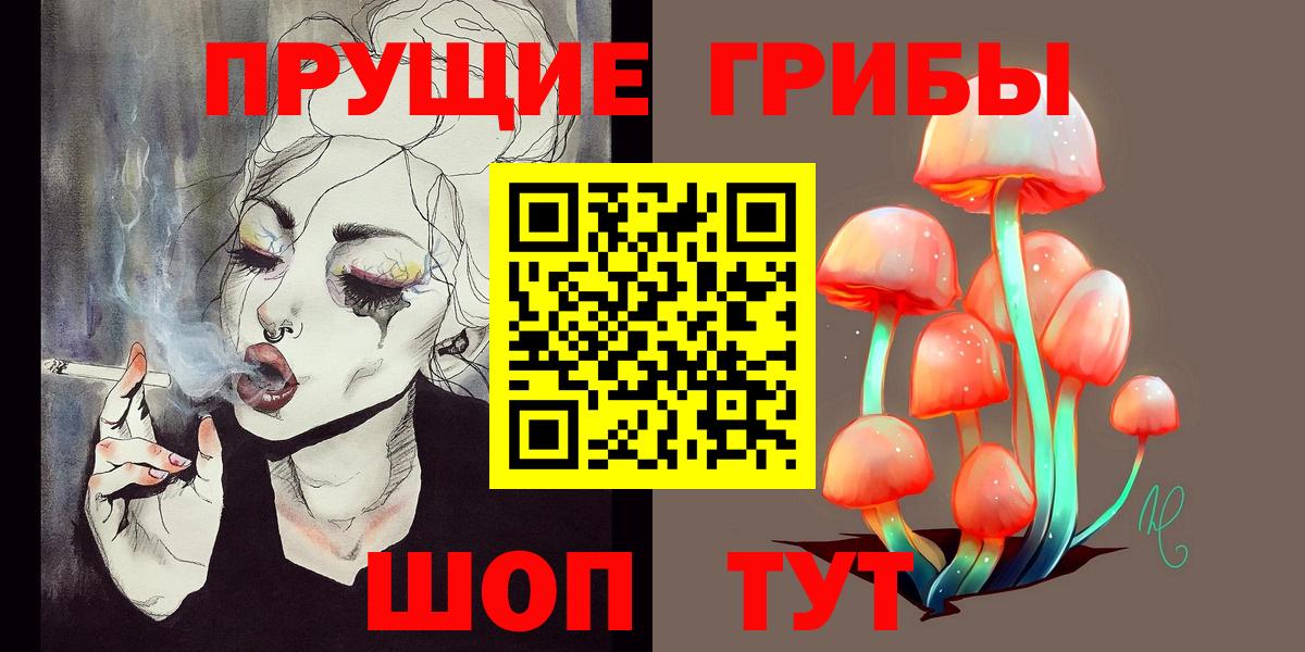 Нарьян-Мар  Псилоцибиновые грибы Cubensis  Вход с VPN 
